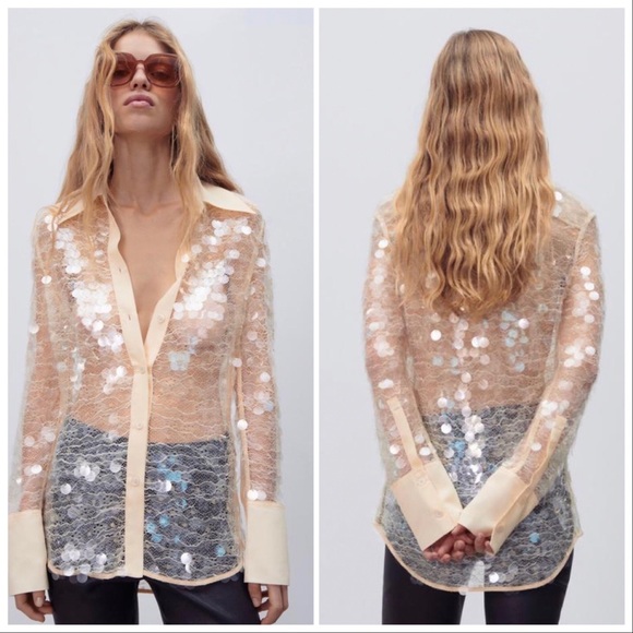 NWT ZARA beige SEMI-SHEER SEQUIN TOP - Picture 9 of 15